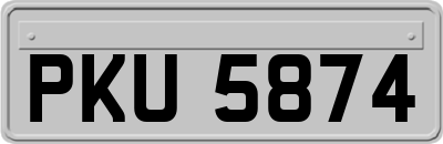 PKU5874