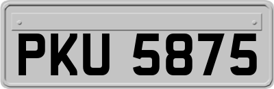PKU5875