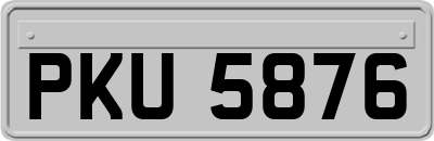 PKU5876