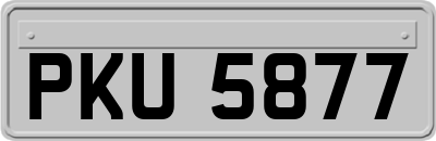 PKU5877