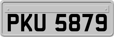 PKU5879