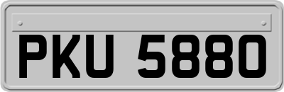 PKU5880