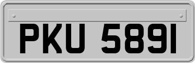 PKU5891