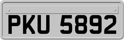 PKU5892