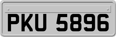 PKU5896