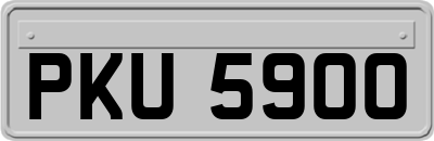 PKU5900