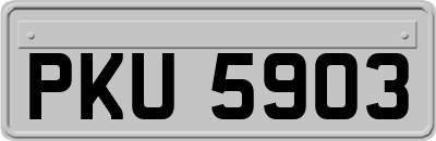 PKU5903