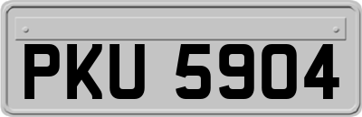 PKU5904