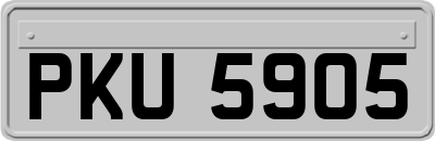 PKU5905