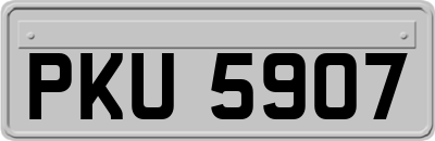 PKU5907