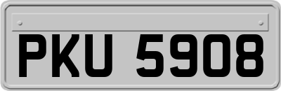PKU5908
