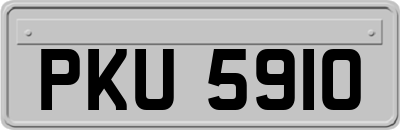 PKU5910