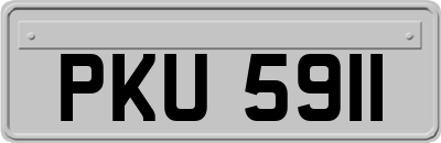 PKU5911
