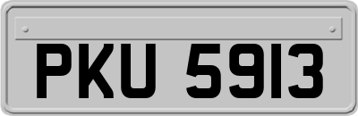 PKU5913