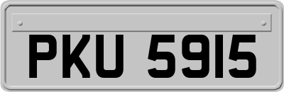 PKU5915