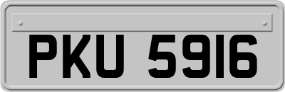 PKU5916