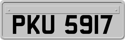 PKU5917