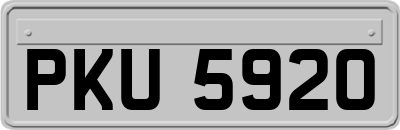 PKU5920