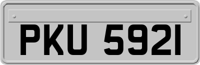 PKU5921