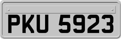 PKU5923