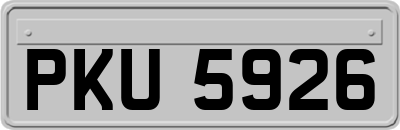 PKU5926