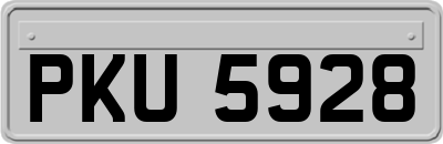 PKU5928