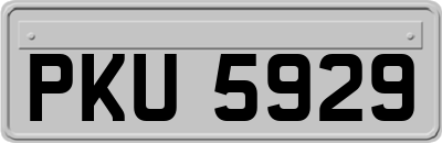 PKU5929