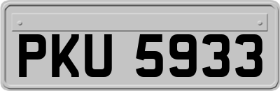 PKU5933