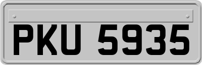 PKU5935