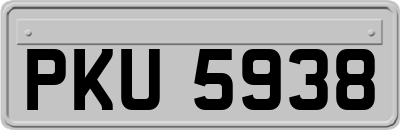 PKU5938