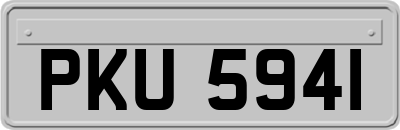 PKU5941