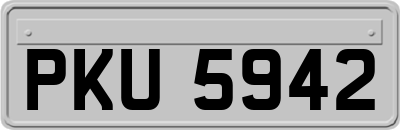 PKU5942