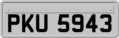 PKU5943
