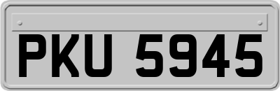 PKU5945