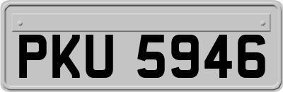 PKU5946