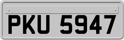 PKU5947