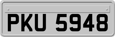 PKU5948