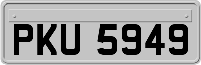 PKU5949