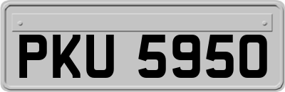 PKU5950