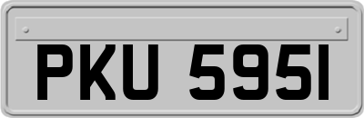 PKU5951