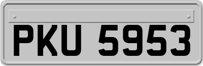 PKU5953