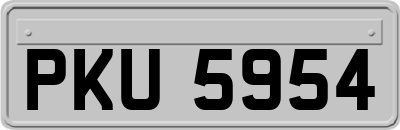 PKU5954