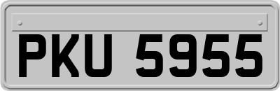 PKU5955