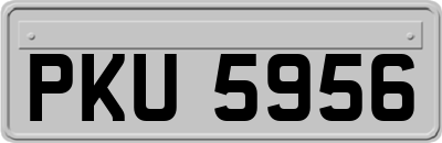 PKU5956