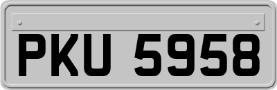 PKU5958