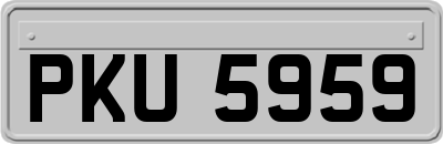 PKU5959