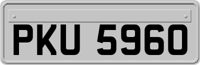 PKU5960