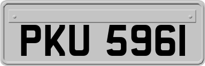 PKU5961