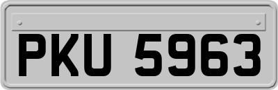 PKU5963