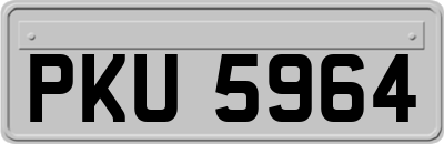 PKU5964